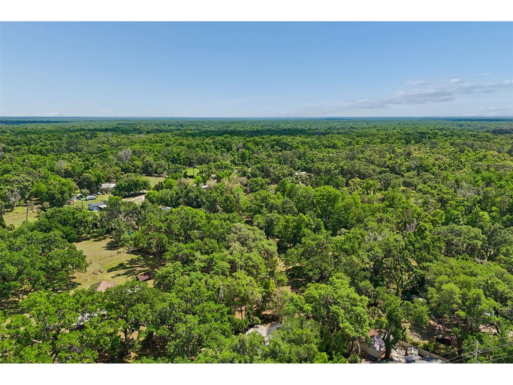 15311 Morris Bridge Road Thonotosassa FL 33592 TB8491540 image56