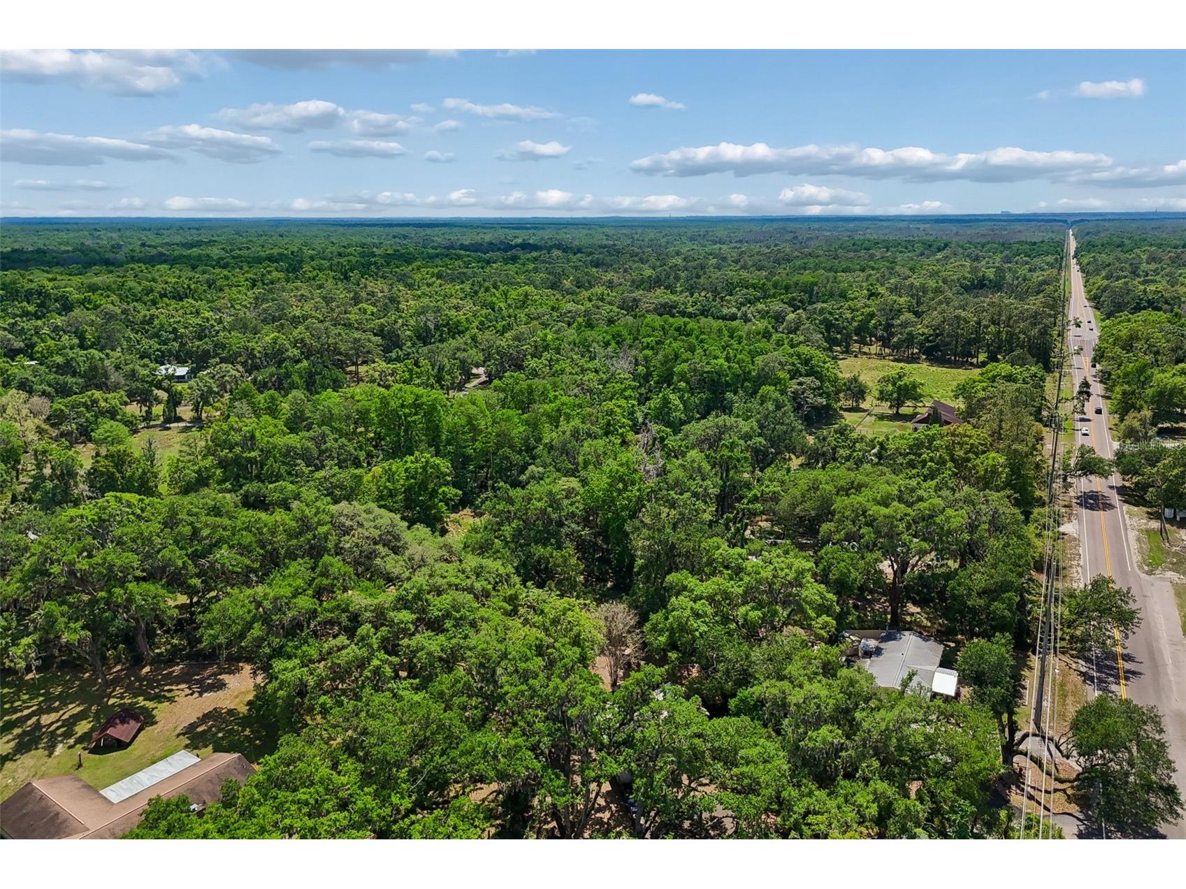 15311 Morris Bridge Road Thonotosassa FL 33592 TB8491540 image58