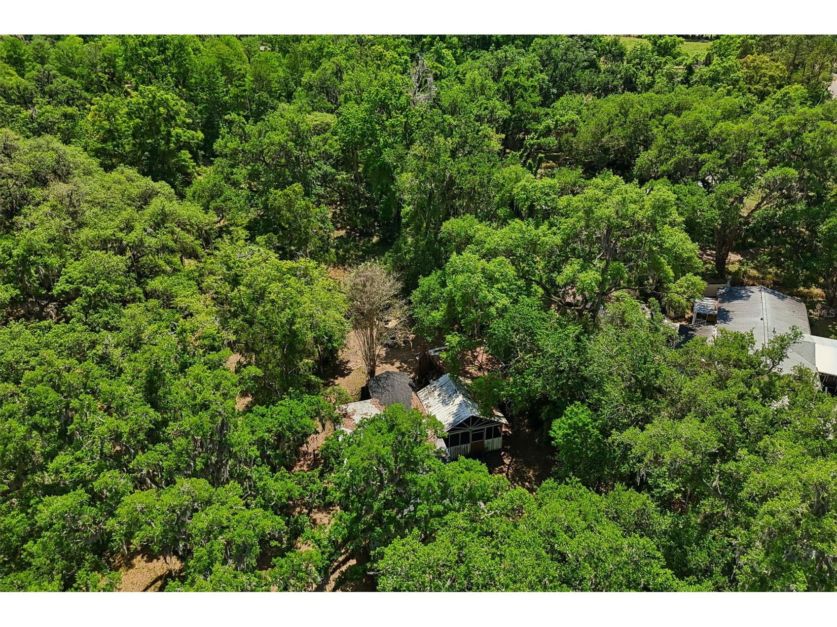 15311 Morris Bridge Road Thonotosassa FL 33592 TB8491540 image59