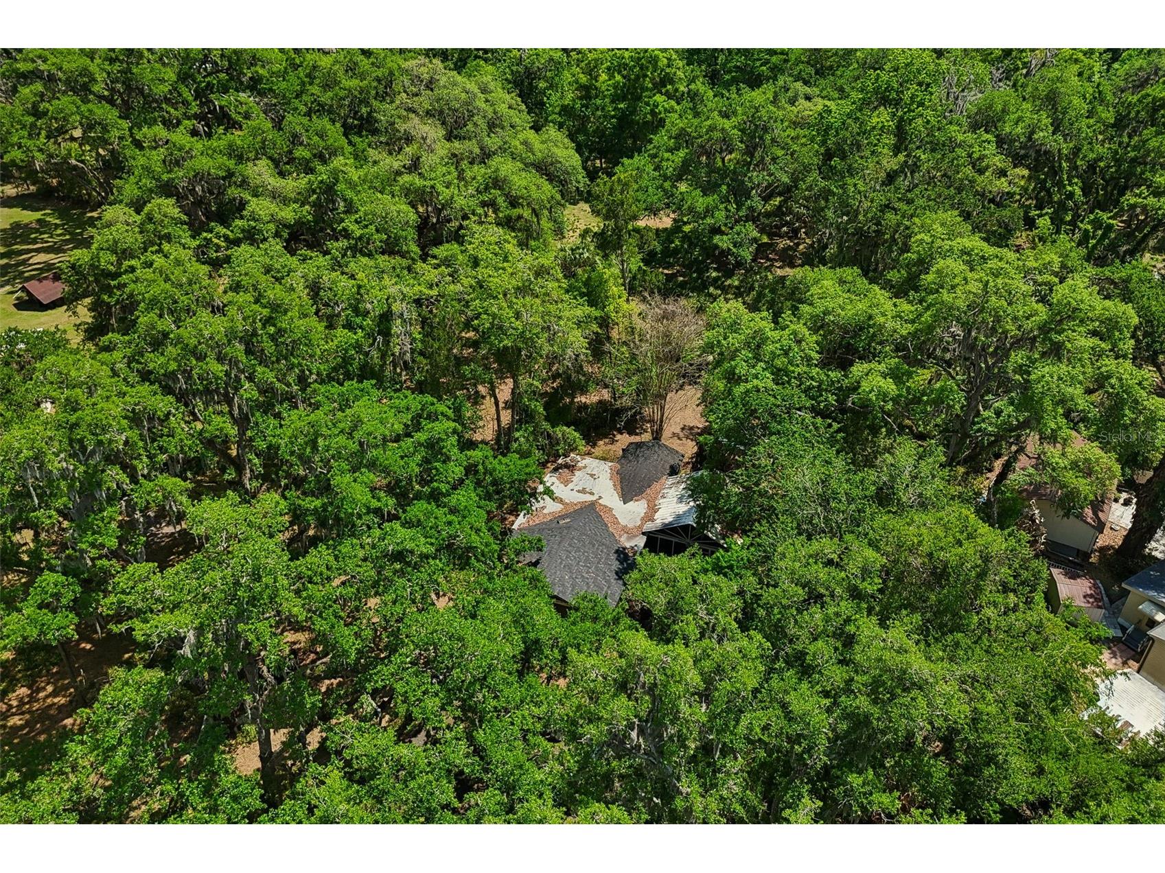 15311 Morris Bridge Road Thonotosassa FL 33592 TB8491540 image60