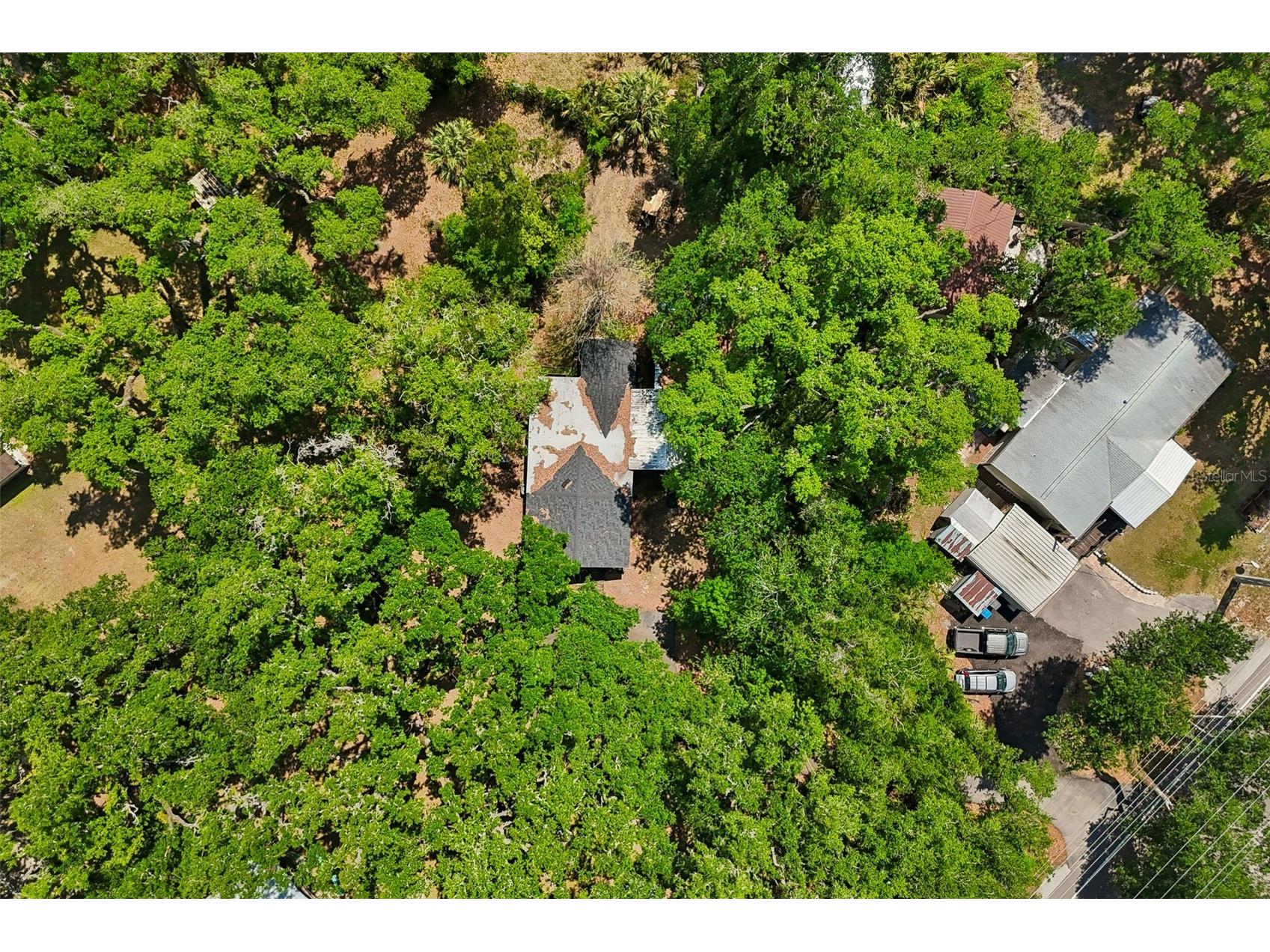 15311 Morris Bridge Road Thonotosassa FL 33592 TB8491540 image61