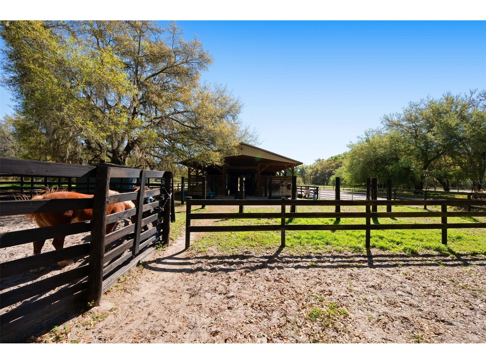 15311 SW 107th Street Archer FL 32618 GC538633 image12