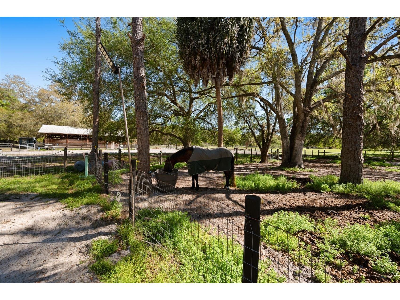 15311 SW 107th Street Archer FL 32618 GC538633 image23