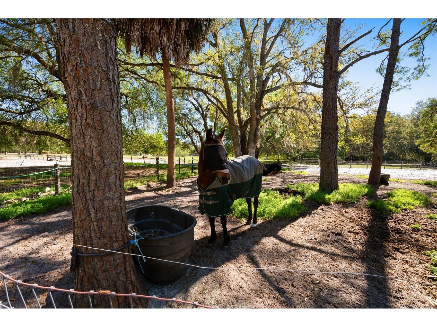 15311 SW 107th Street Archer FL 32618 GC538633 image24