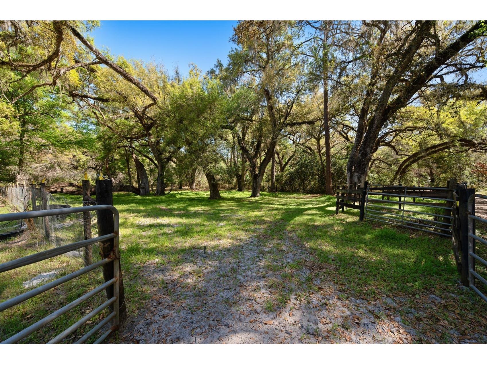 15311 SW 107th Street Archer FL 32618 GC538633 image5