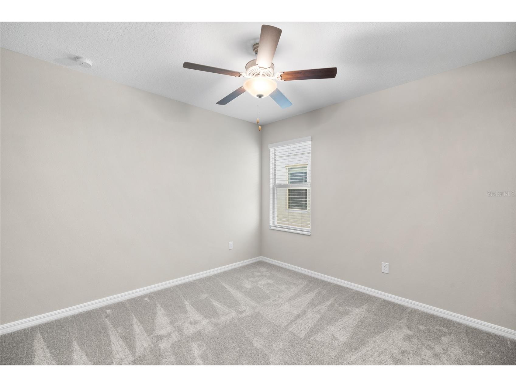 15312 Miller Creek Drive Sun City Center FL 33573 TB8428495 image14