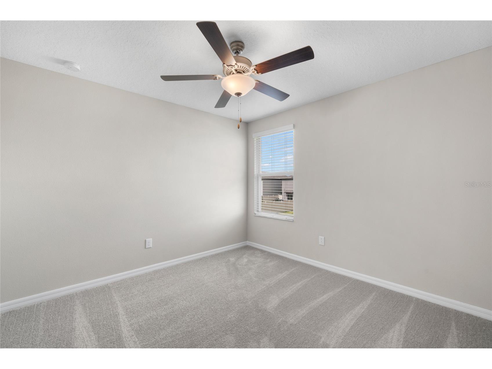 15312 Miller Creek Drive Sun City Center FL 33573 TB8428495 image16