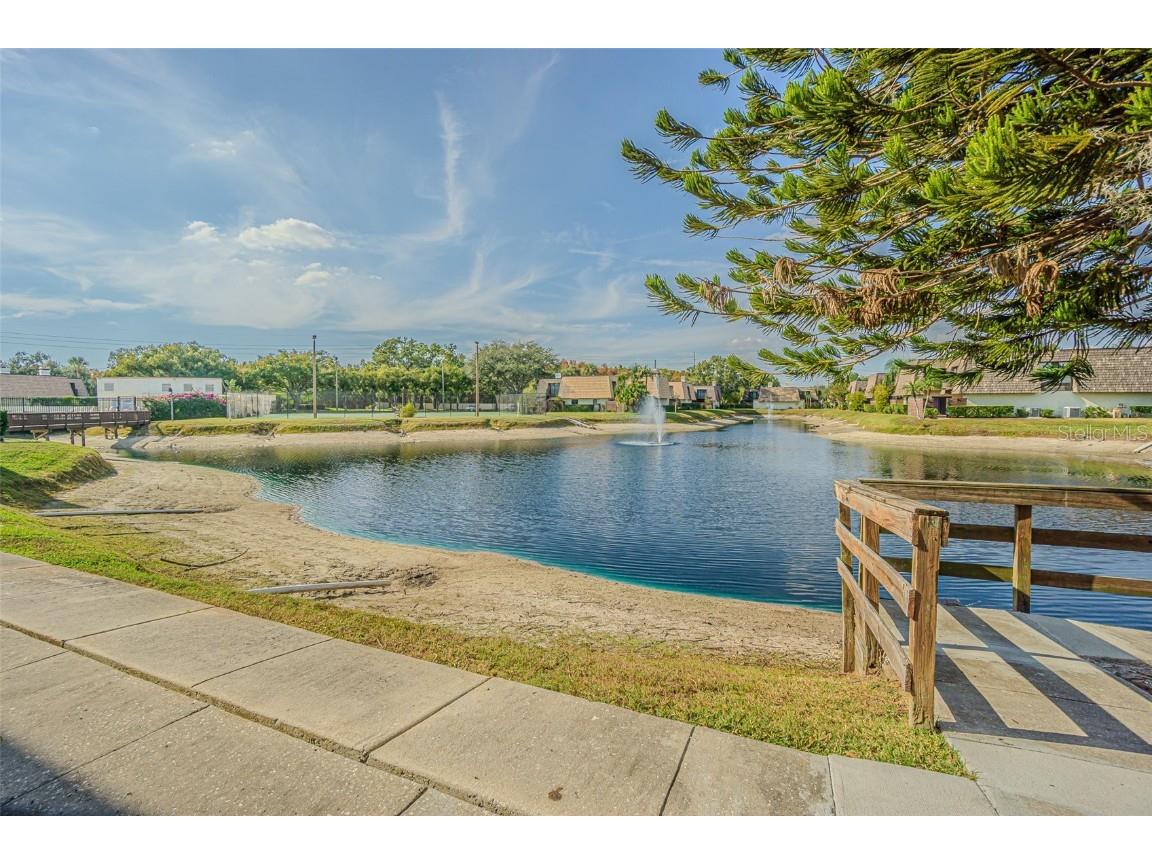 15314 E Pond Woods Drive Tampa FL 33618 TB8450004 image21