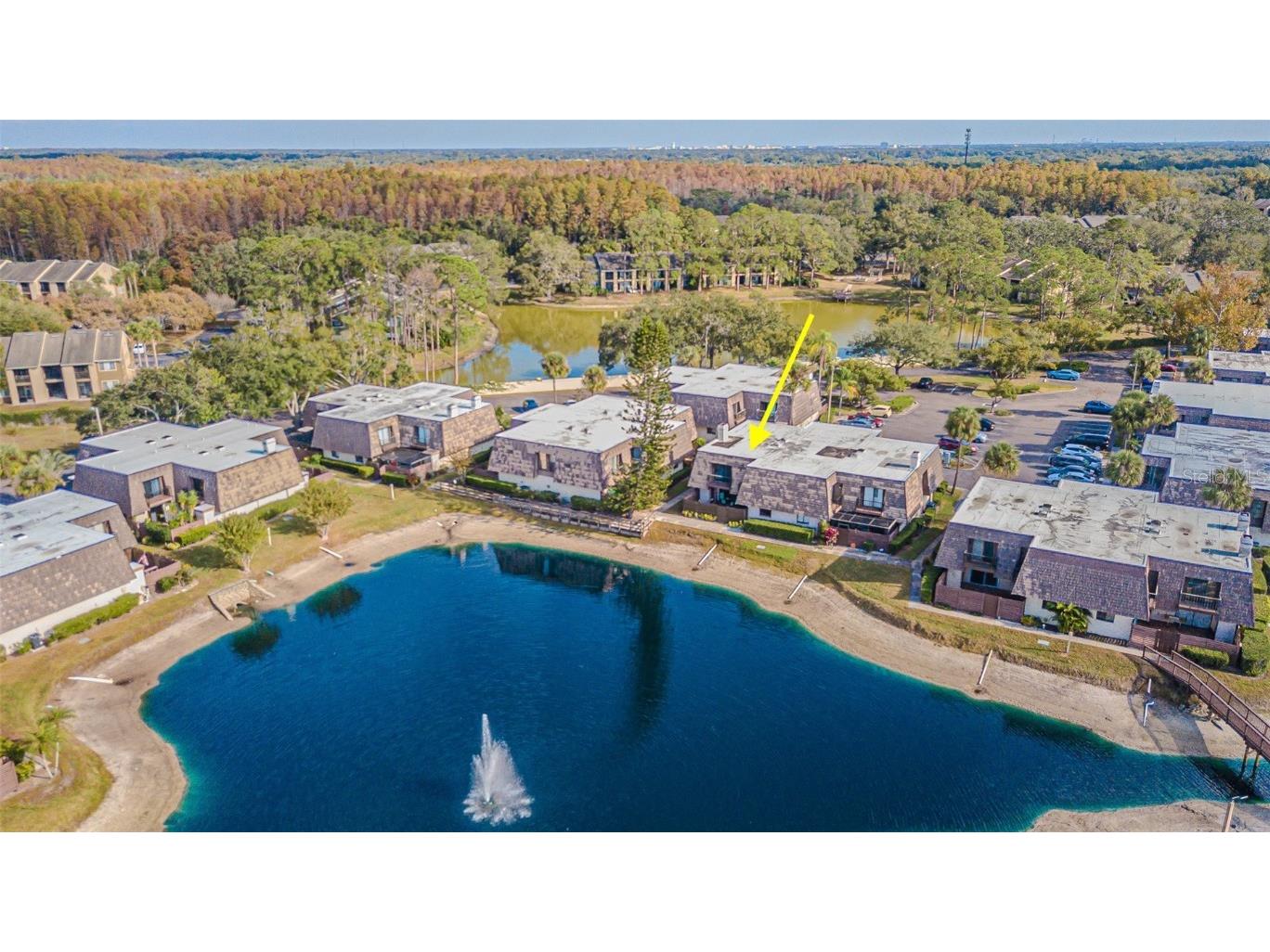 15314 E Pond Woods Drive Tampa FL 33618 TB8450004 image23