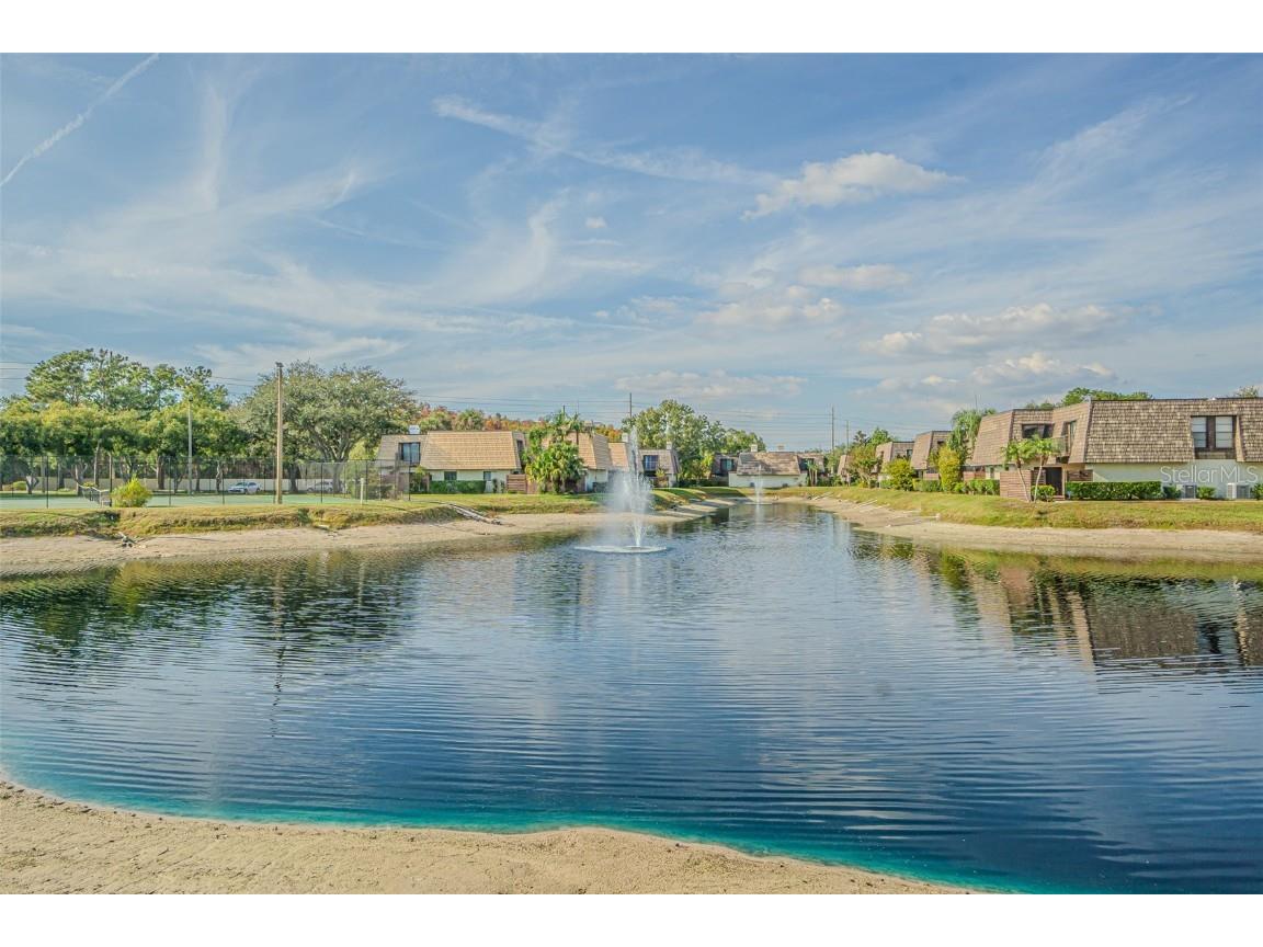 15314 E Pond Woods Drive Tampa FL 33618 TB8450004 image26