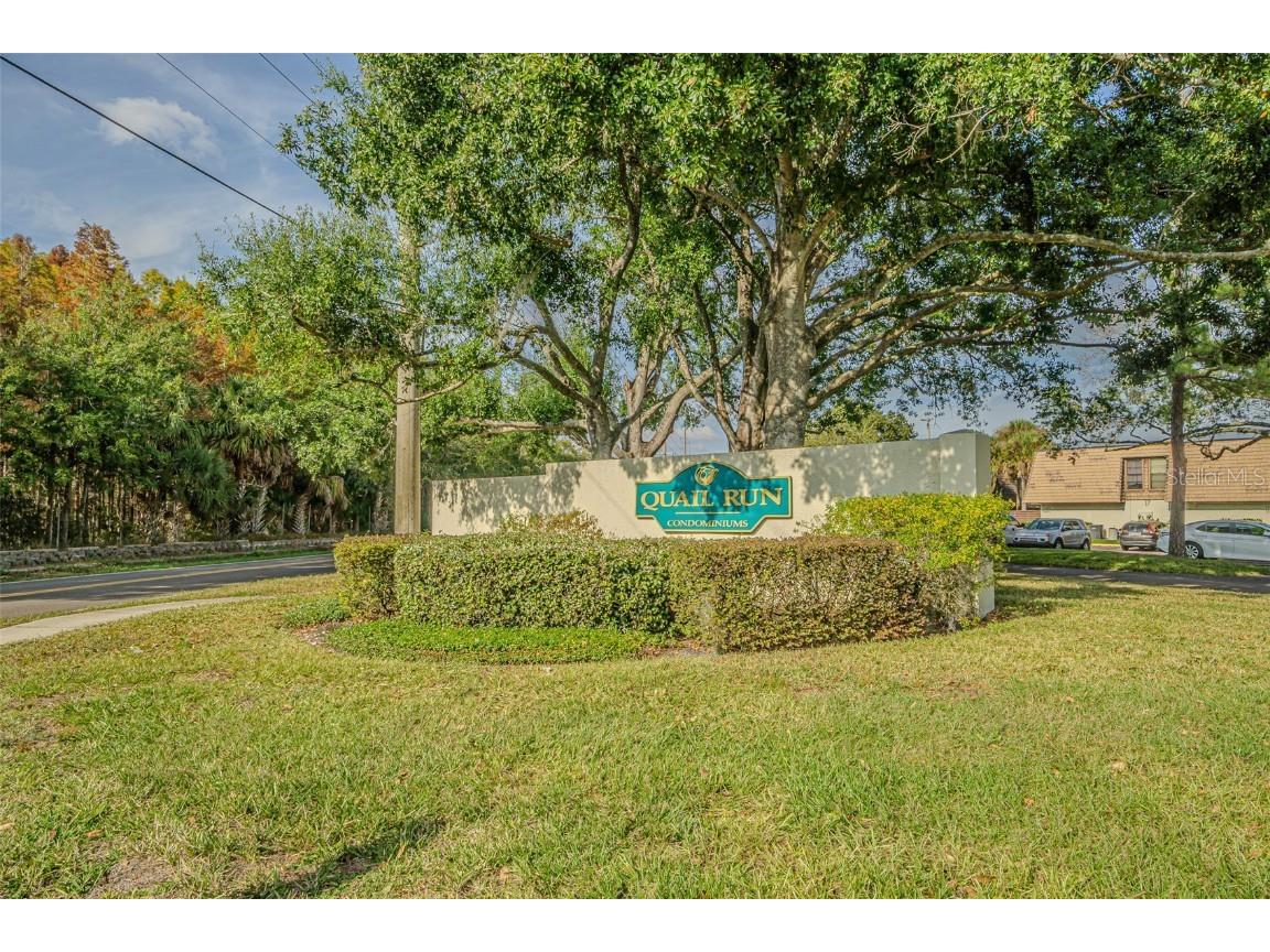 15314 E Pond Woods Drive Tampa FL 33618 TB8450004 image27