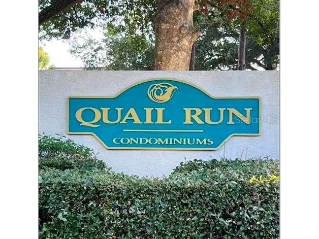 15314 E Pond Woods Drive Tampa FL 33618 TB8450004 image28