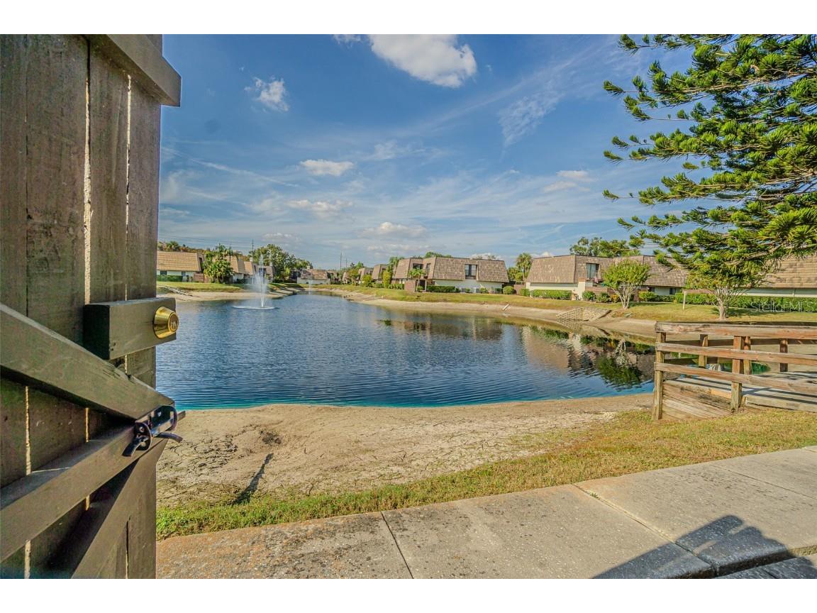 15314 E Pond Woods Drive Tampa FL 33618 TB8450004 image4