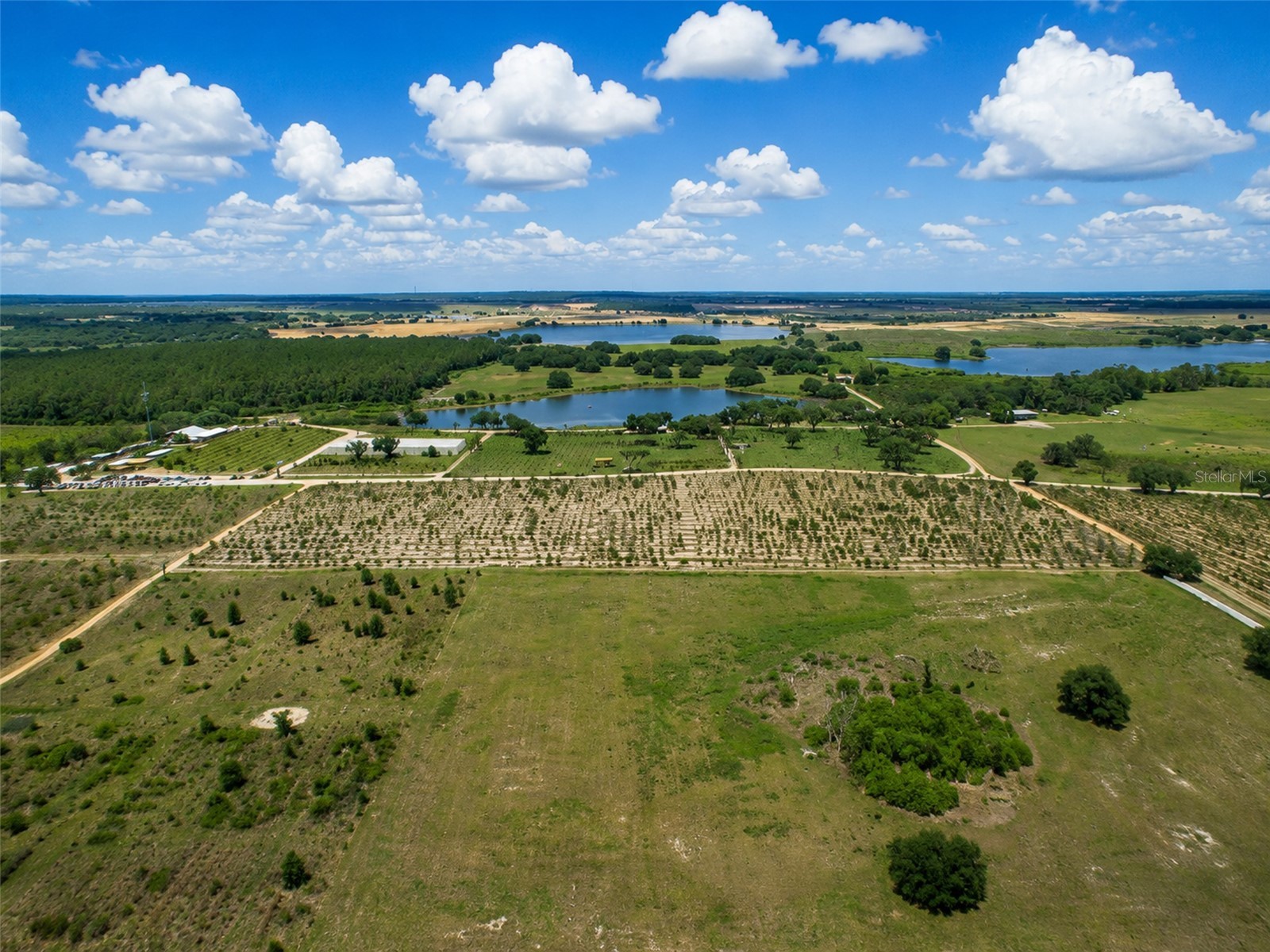 15314 Grand Haven Drive Clermont FL 34714 - POND G5112920 image47