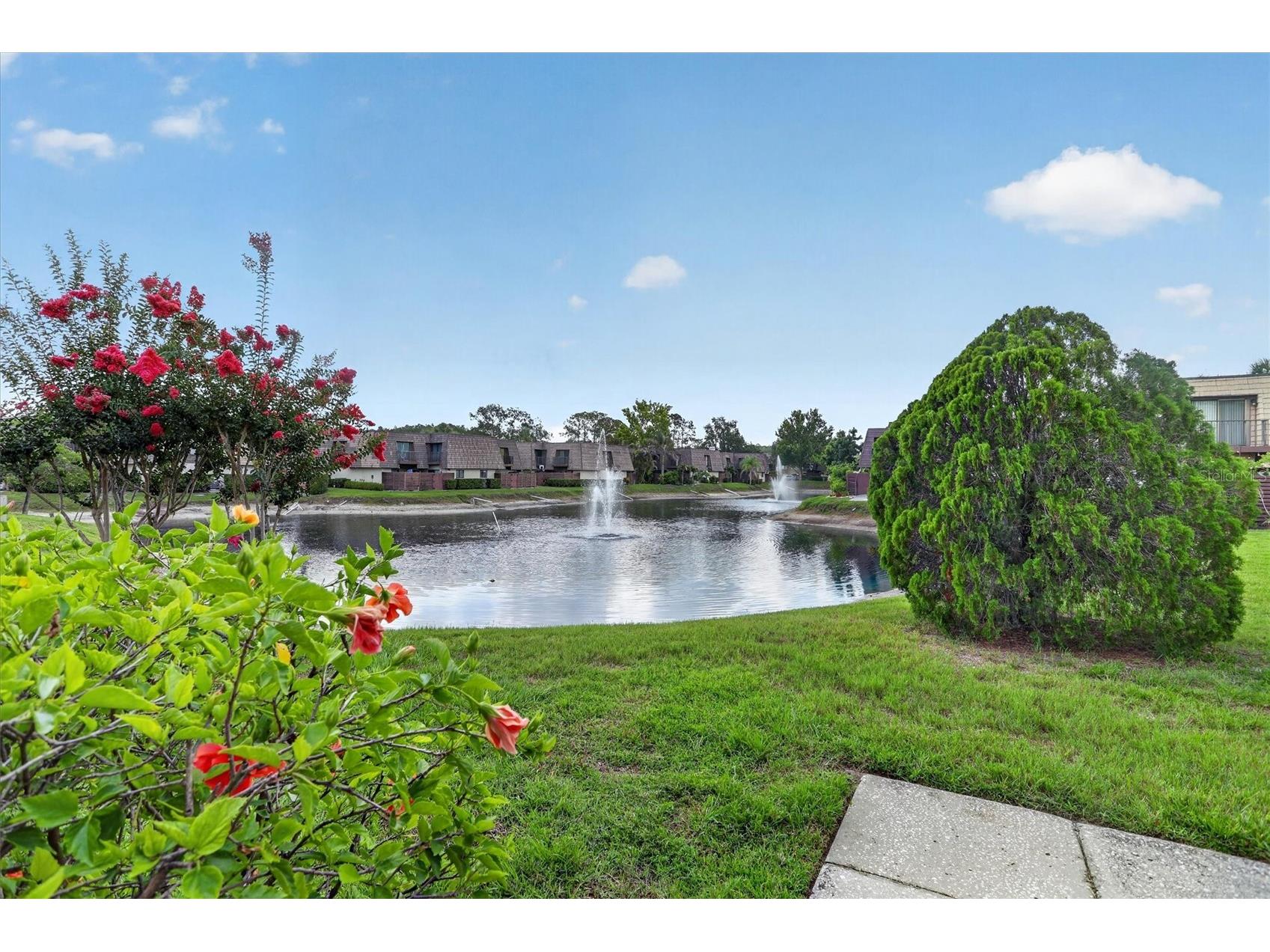 15317 W Pond Woods Drive #103 Tampa FL 33618 TB8527349 image34