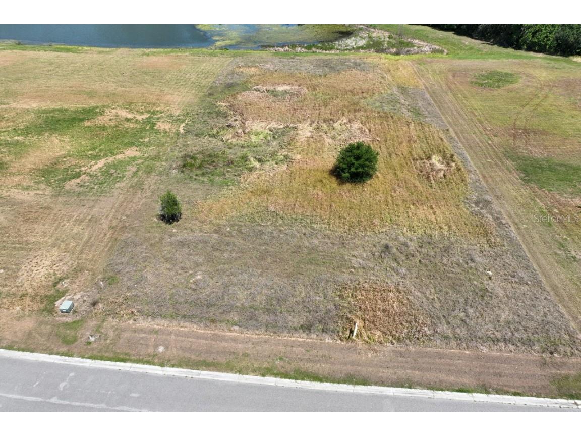 15318 Fishhawk Heights Run Lithia FL 33547 T3441625 image1