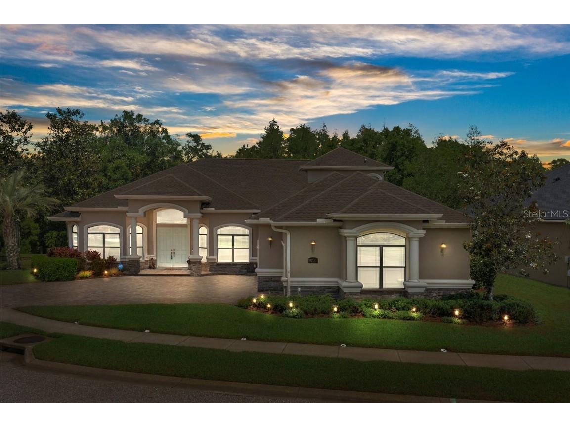 15319 Wind Whisper Drive Odessa FL 33556 T3439504 image1