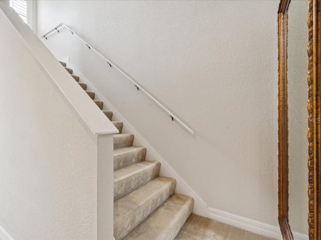 1532 Citrine Trail Tarpon Springs FL 34689 TB8436006 image27