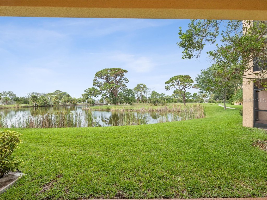 1532 Citrine Trail Tarpon Springs FL 34689 TB8436006 image49