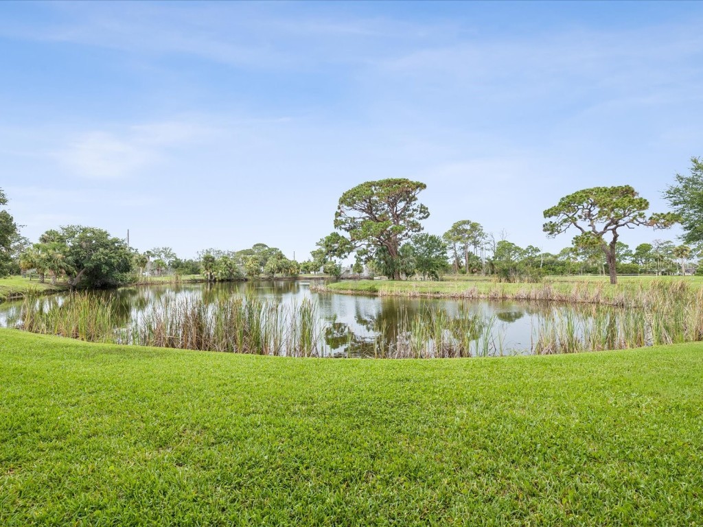 1532 Citrine Trail Tarpon Springs FL 34689 TB8436006 image50