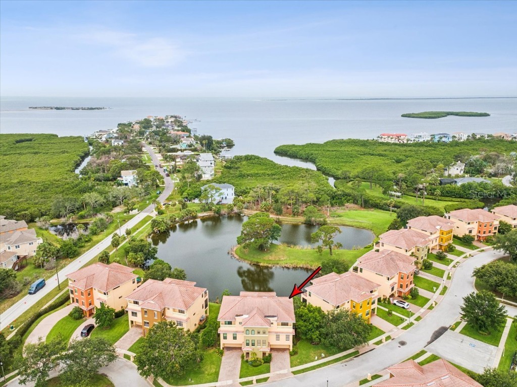 1532 Citrine Trail Tarpon Springs FL 34689 TB8436006 image60