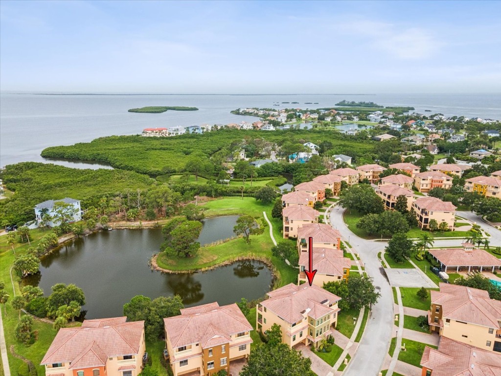 1532 Citrine Trail Tarpon Springs FL 34689 TB8436006 image61