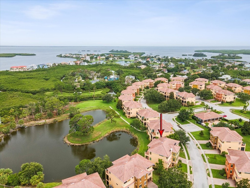 1532 Citrine Trail Tarpon Springs FL 34689 TB8436006 image62