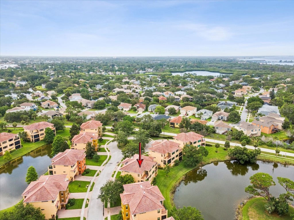 1532 Citrine Trail Tarpon Springs FL 34689 TB8436006 image67