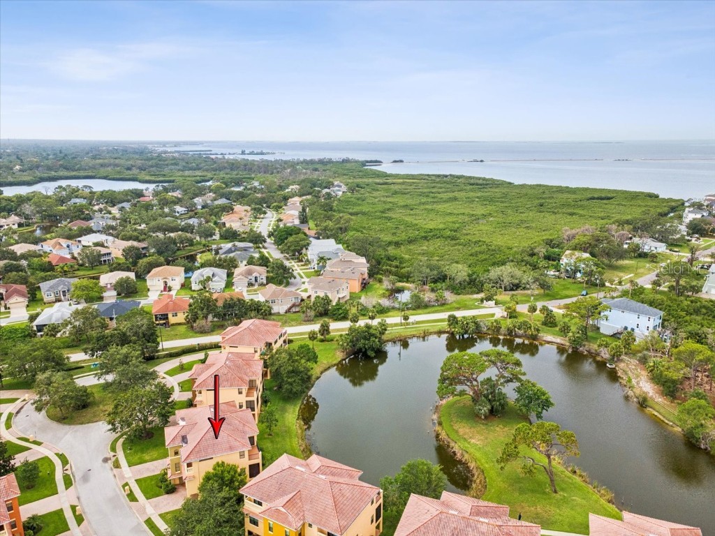 1532 Citrine Trail Tarpon Springs FL 34689 TB8436006 image68