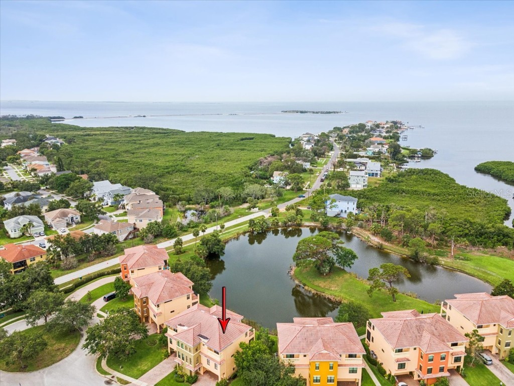 1532 Citrine Trail Tarpon Springs FL 34689 TB8436006 image69