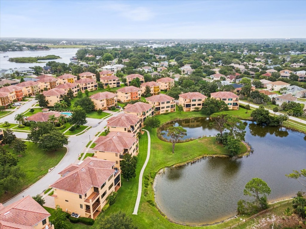 1532 Citrine Trail Tarpon Springs FL 34689 TB8436006 image70