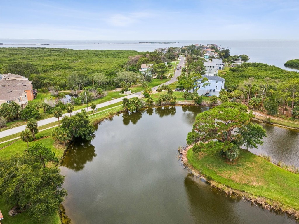 1532 Citrine Trail Tarpon Springs FL 34689 TB8436006 image83