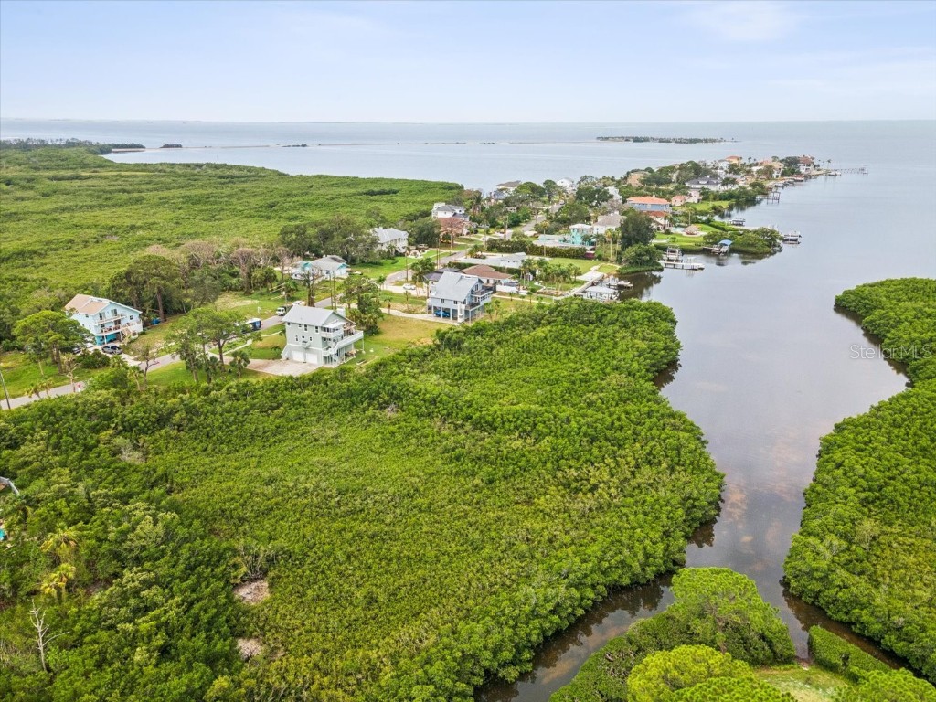 1532 Citrine Trail Tarpon Springs FL 34689 TB8436006 image84