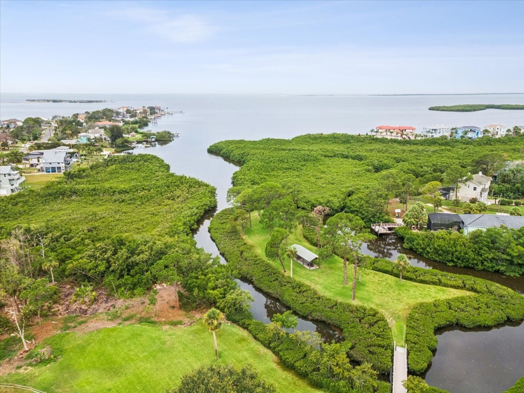 1532 Citrine Trail Tarpon Springs FL 34689 TB8436006 image85