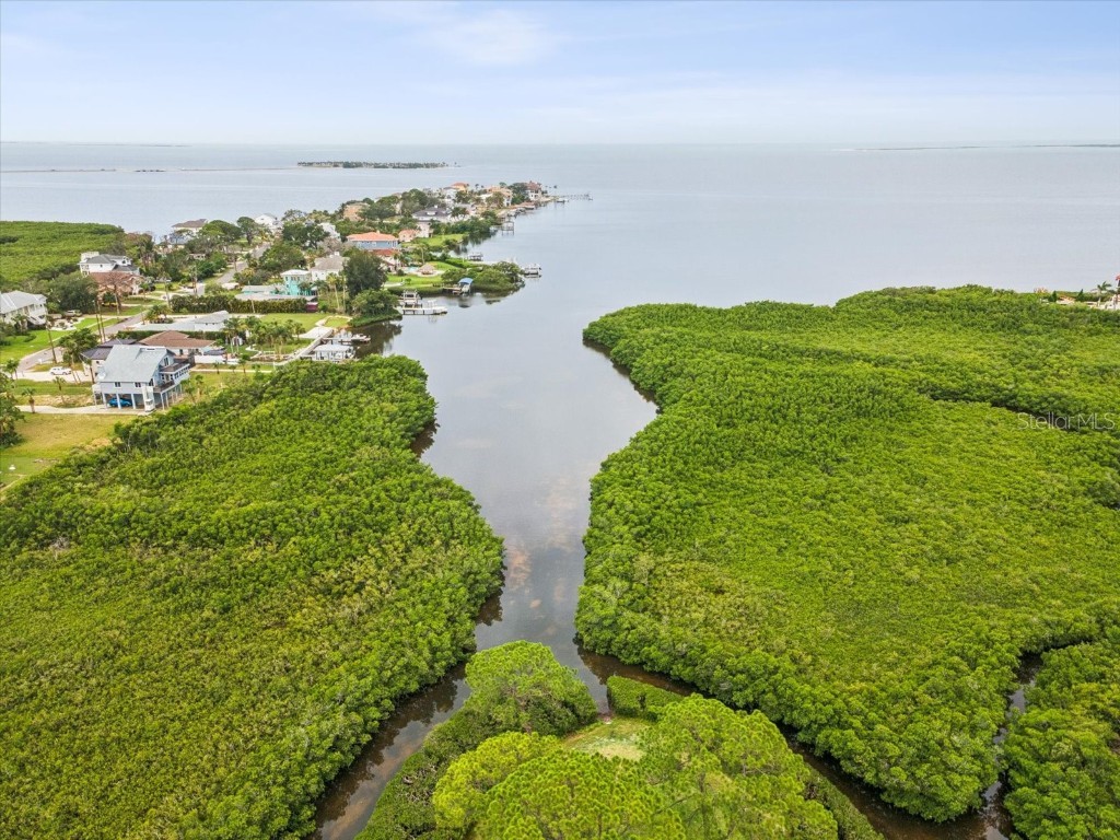 1532 Citrine Trail Tarpon Springs FL 34689 TB8436006 image87