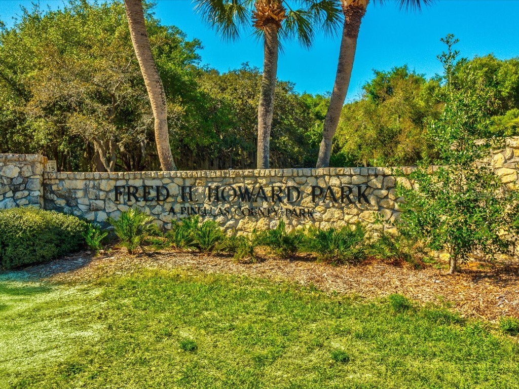 1532 Citrine Trail Tarpon Springs FL 34689 TB8436006 image88