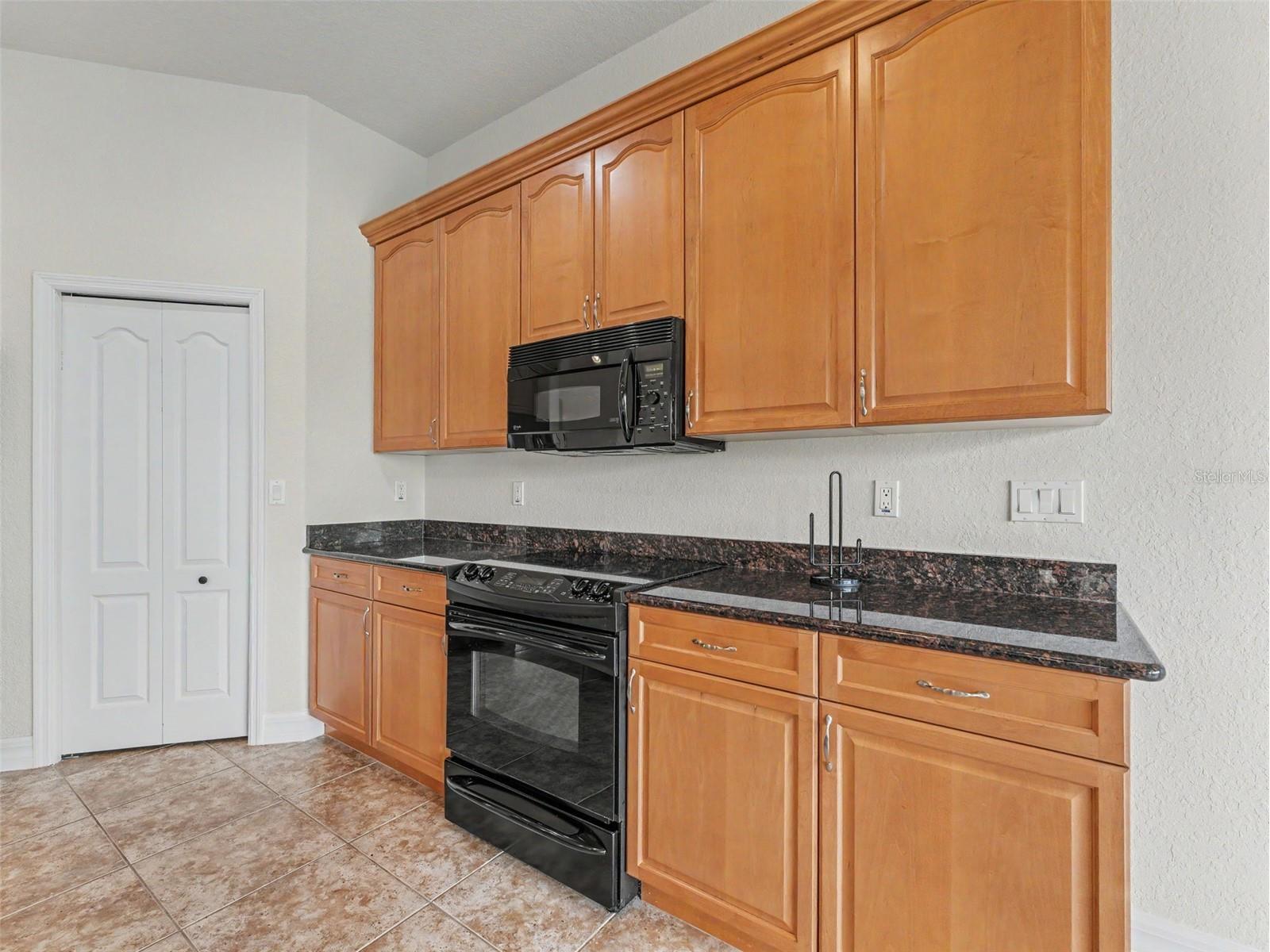 1532 Citrine Trail Tarpon Springs FL 34689 W7886363 image17