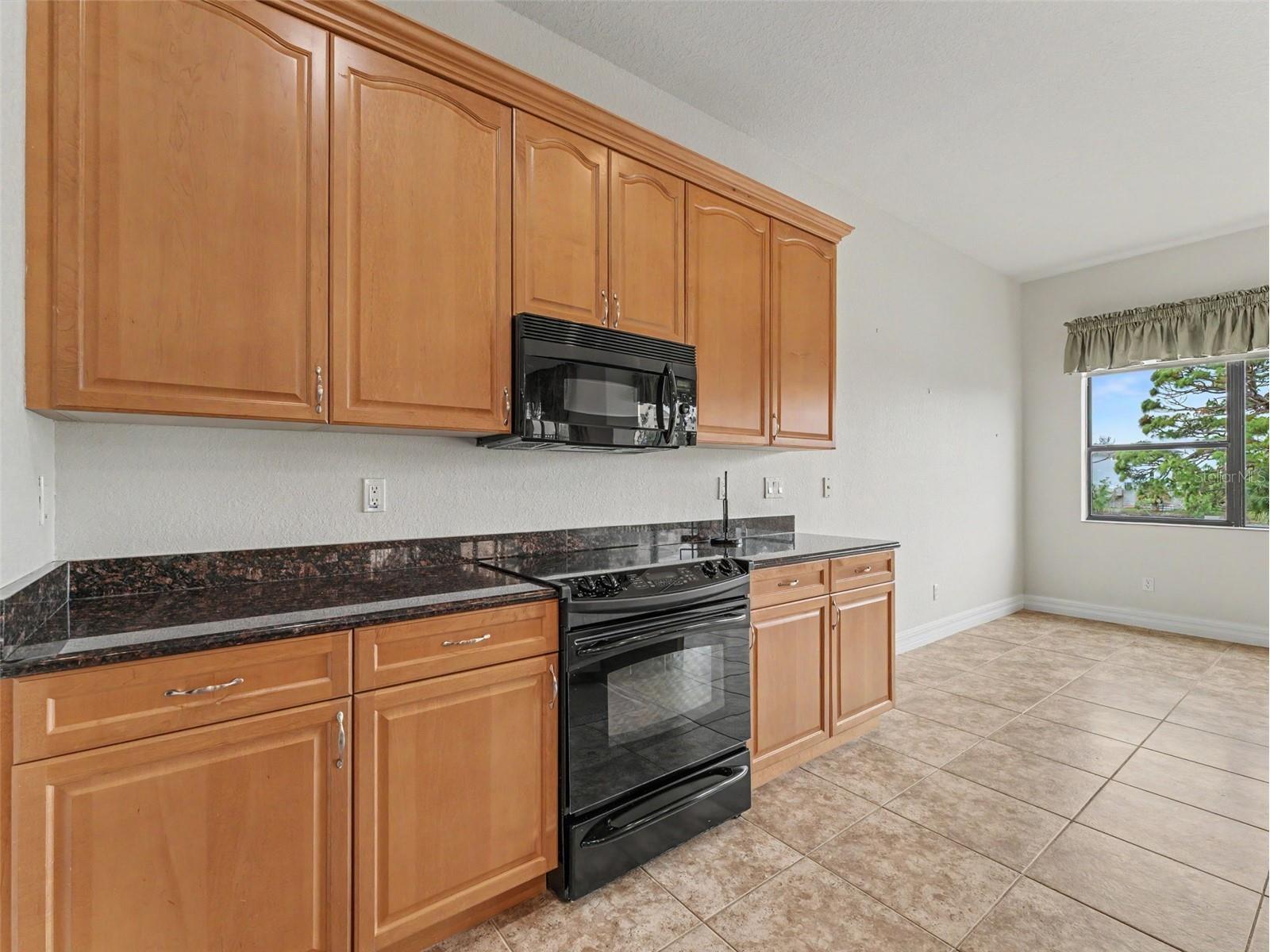 1532 Citrine Trail Tarpon Springs FL 34689 W7886363 image18