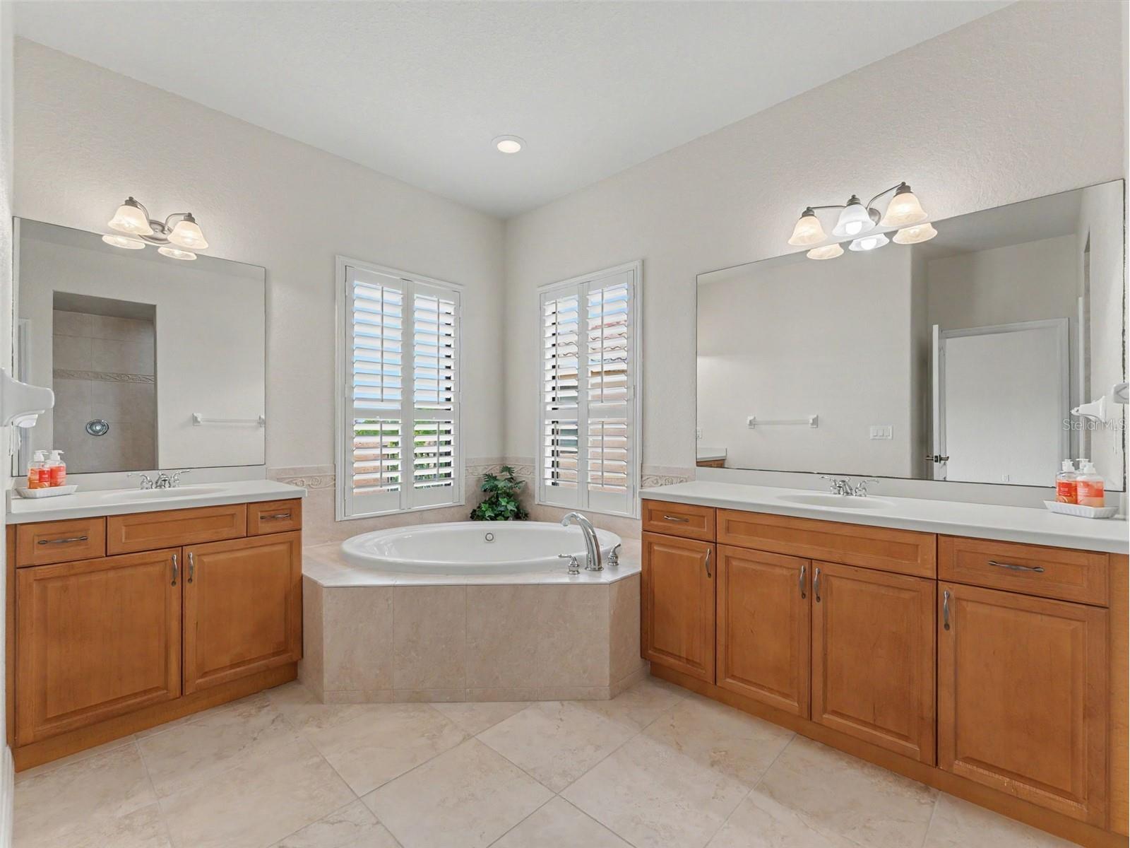 1532 Citrine Trail Tarpon Springs FL 34689 W7886363 image41