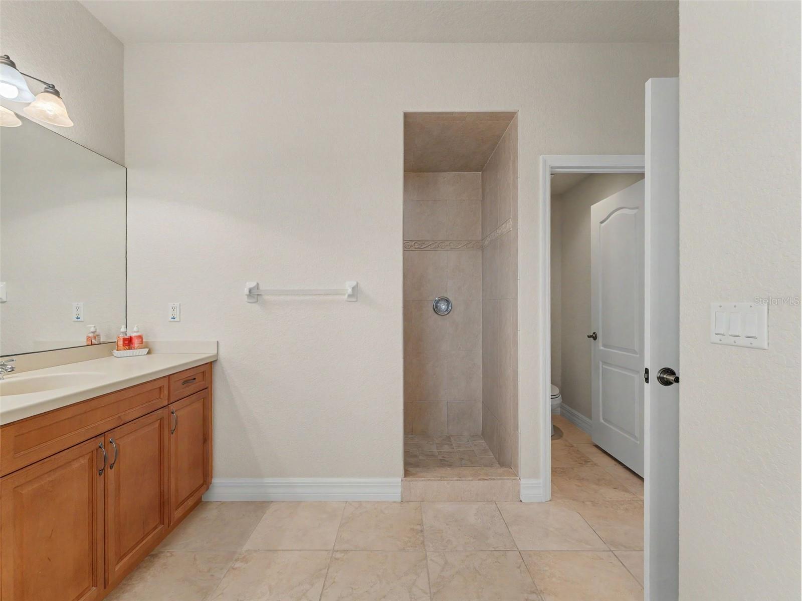 1532 Citrine Trail Tarpon Springs FL 34689 W7886363 image43