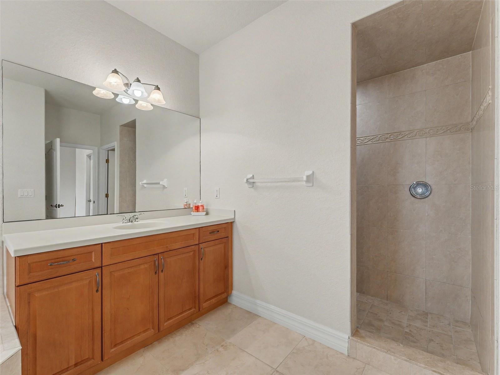 1532 Citrine Trail Tarpon Springs FL 34689 W7886363 image44