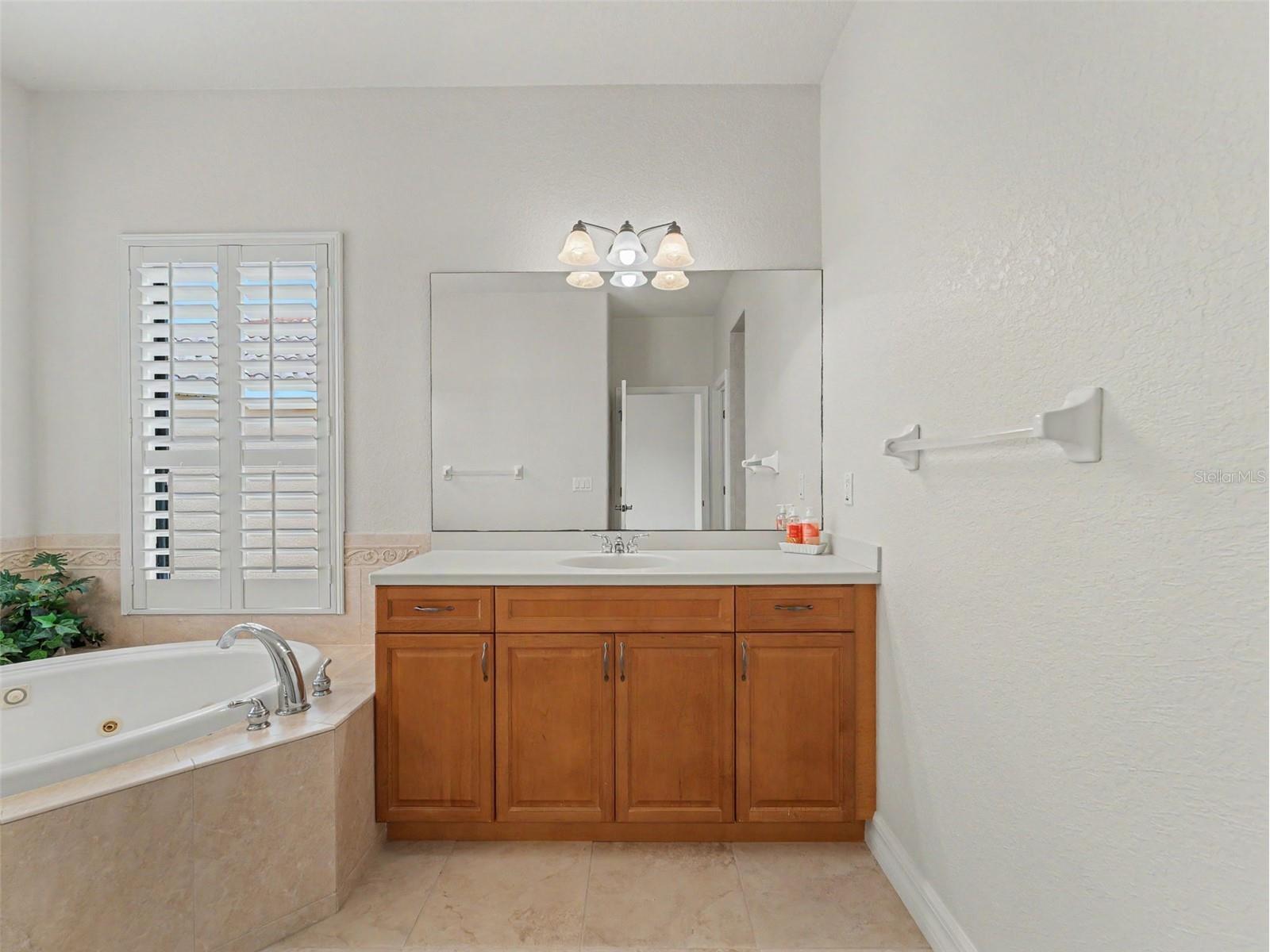 1532 Citrine Trail Tarpon Springs FL 34689 W7886363 image45