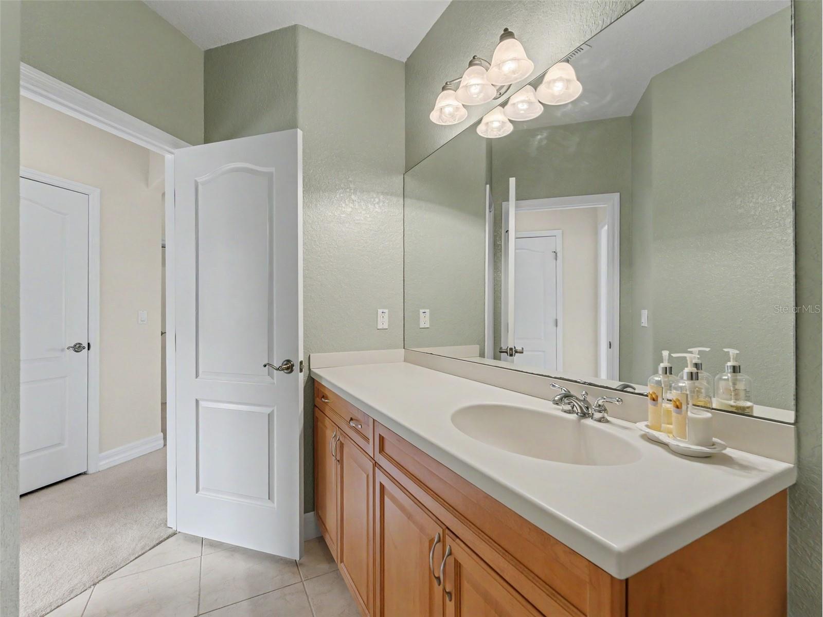 1532 Citrine Trail Tarpon Springs FL 34689 W7886363 image47