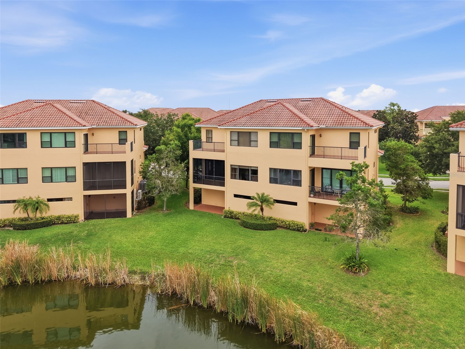 1532 Citrine Trail Tarpon Springs FL 34689 W7886363 image58