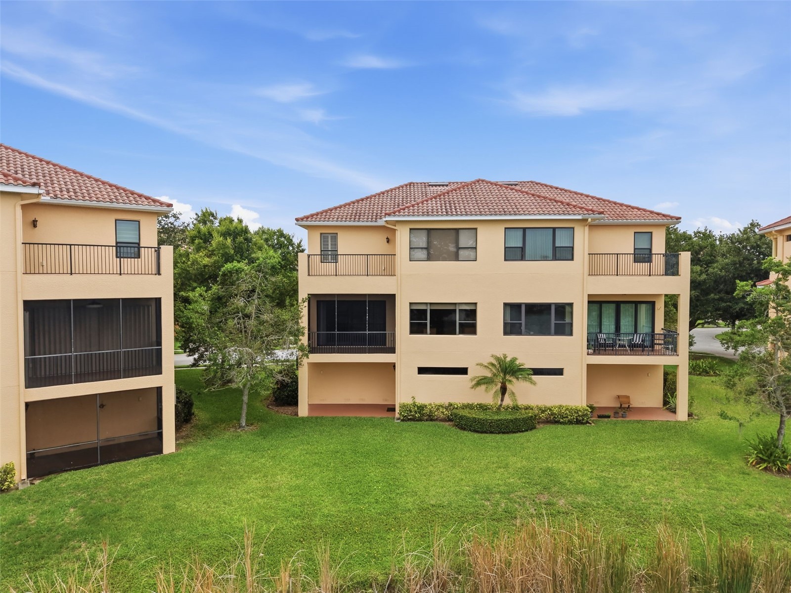 1532 Citrine Trail Tarpon Springs FL 34689 W7886363 image59