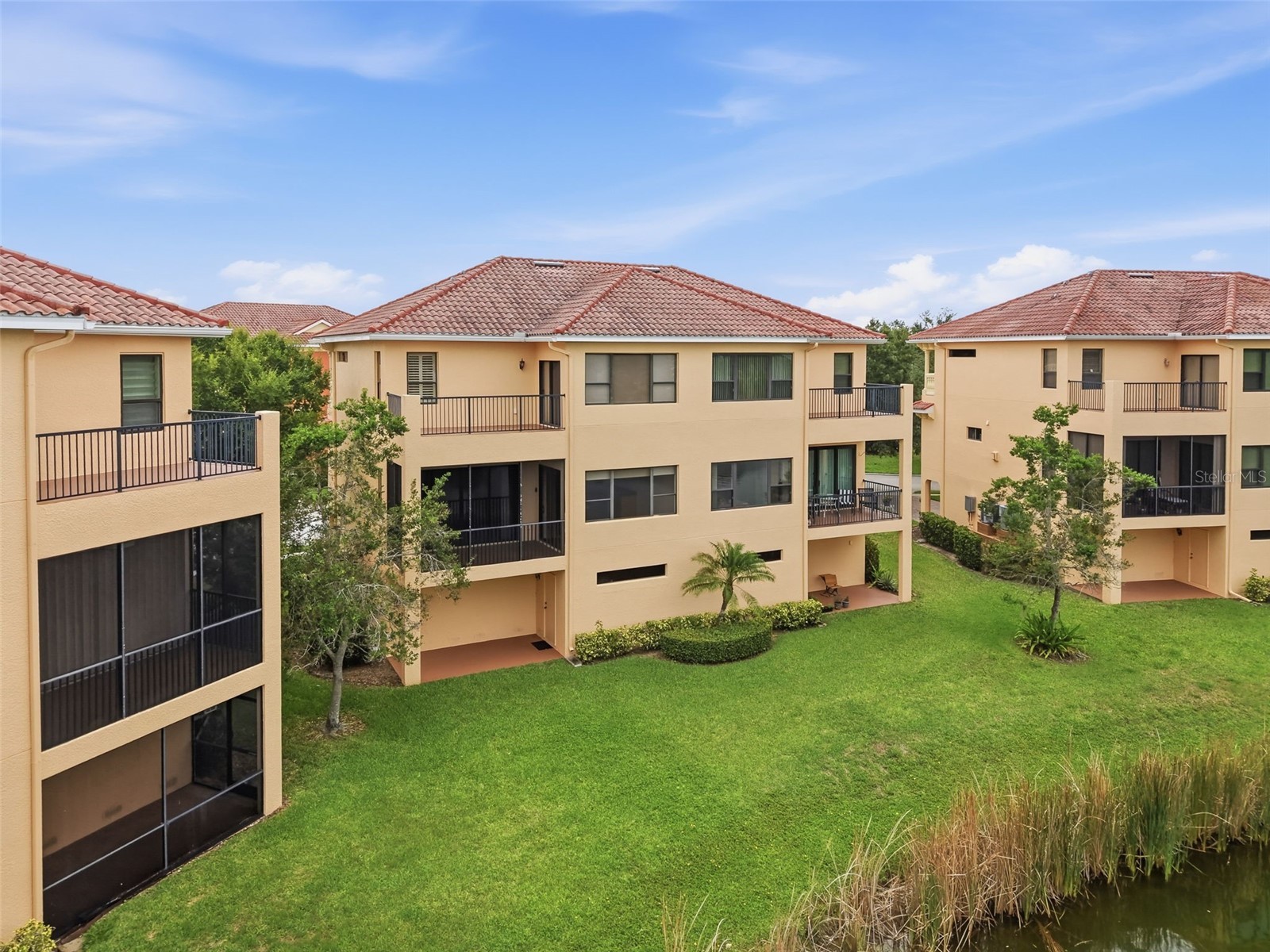 1532 Citrine Trail Tarpon Springs FL 34689 W7886363 image60