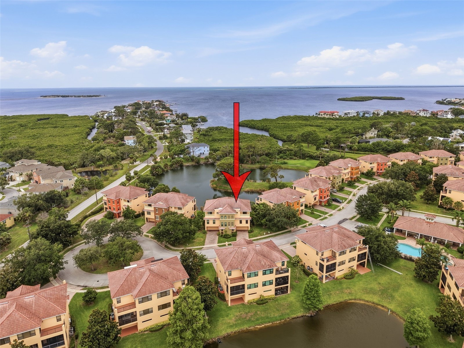 1532 Citrine Trail Tarpon Springs FL 34689 W7886363 image64