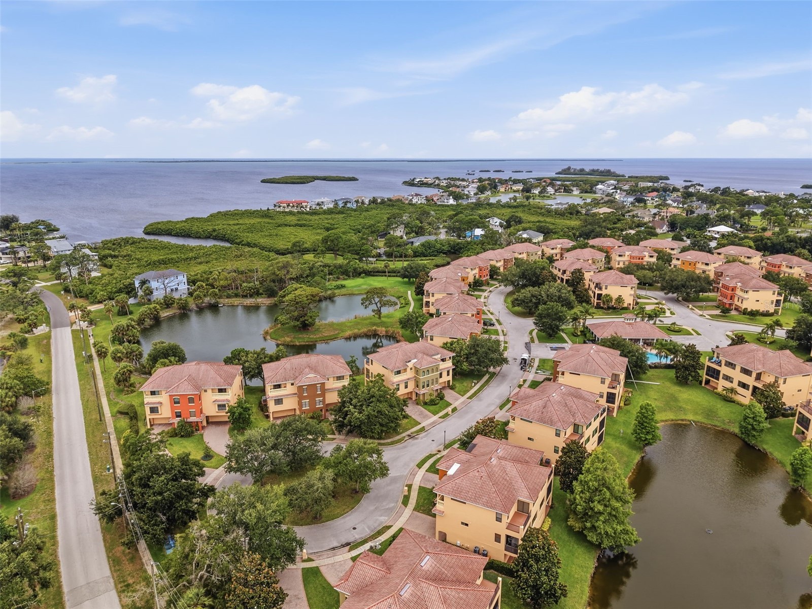 1532 Citrine Trail Tarpon Springs FL 34689 W7886363 image67