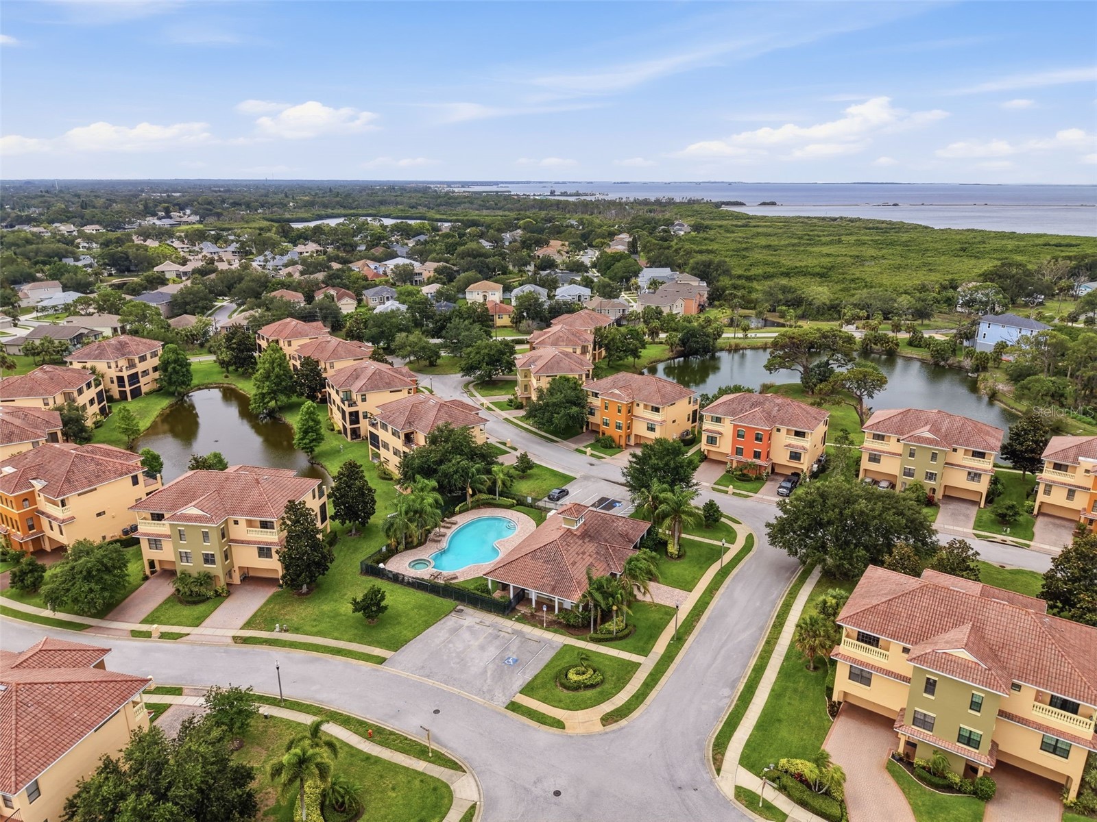 1532 Citrine Trail Tarpon Springs FL 34689 W7886363 image79