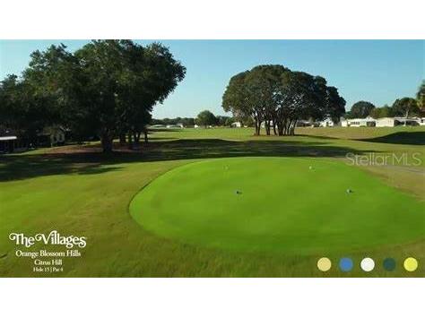 1532 W Schwartz Boulevard Lady Lake FL 32159 G5093052 image2